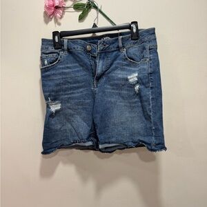 Denim Distressed Women Shorts